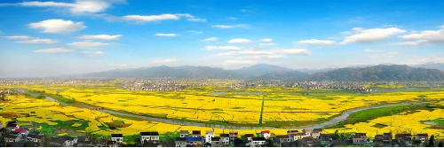 秀山县清溪场镇龙凤花海