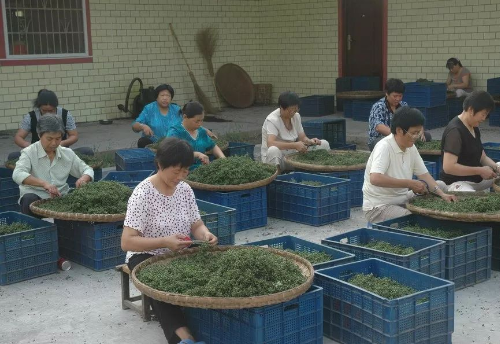 江津区桥亭花椒专业合作社花椒精选